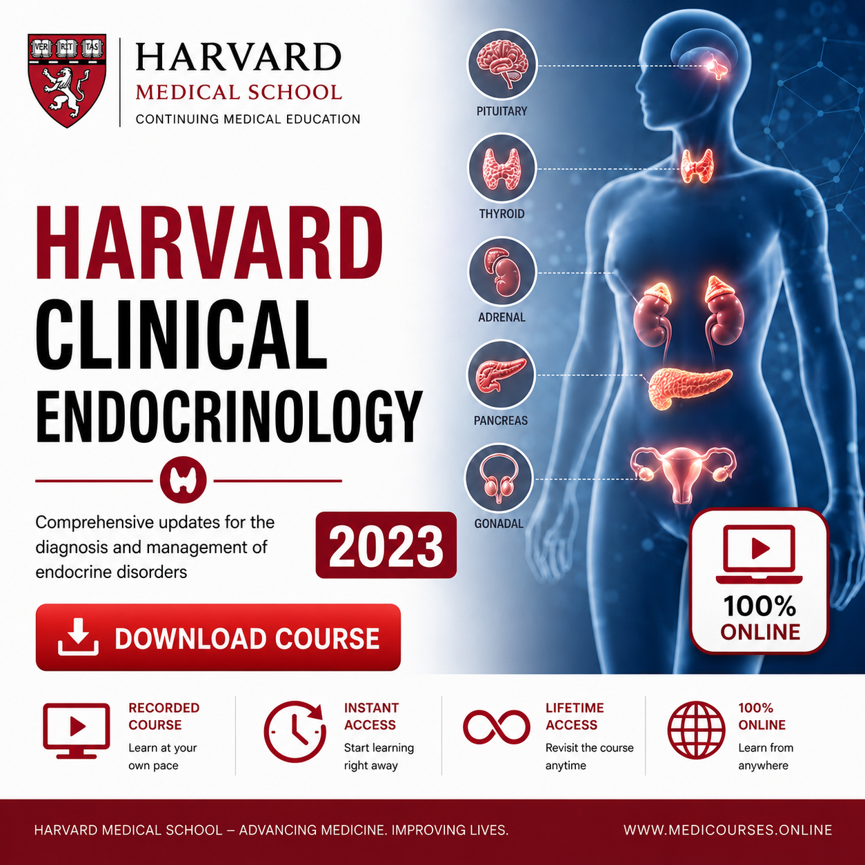 Harvard CLINICAL ENDOCRINOLOGY 2023