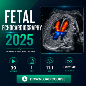 2025 Fetal Echocardiography: Normal and Abnormal Hearts – A Video CME Teaching Activity