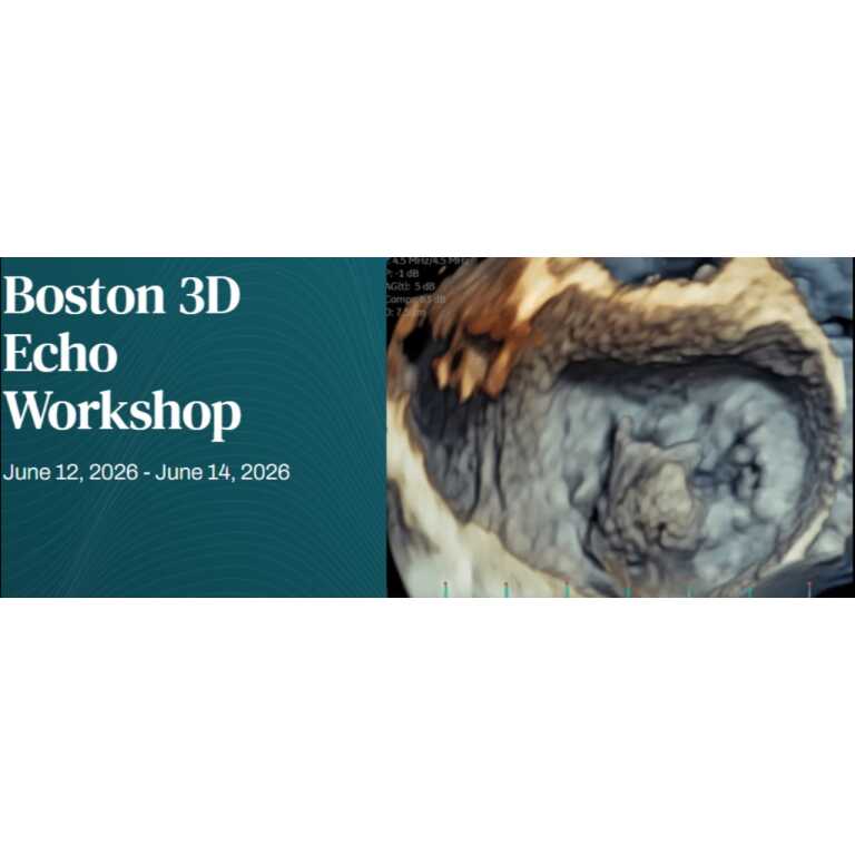 Harvard Boston 3D Echo Workshop 2026